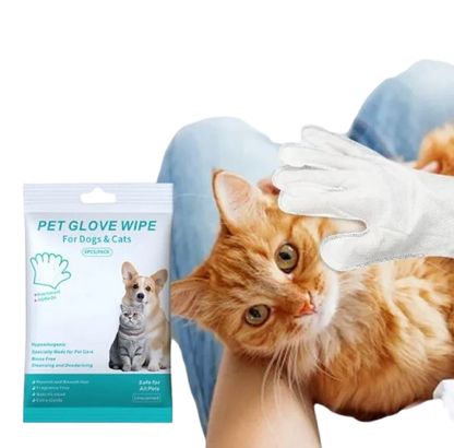 Extra-thick disposable pet cleaning gloves and wipes from BackupMyFilesNow.com for gentle grooming and mess cleanup.