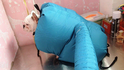 Pet drying box and dryer with drying bag, designed for quick and gentle grooming of small animals.