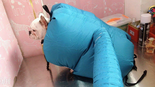 Pet drying box and dryer with drying bag, designed for quick and gentle grooming of small animals.