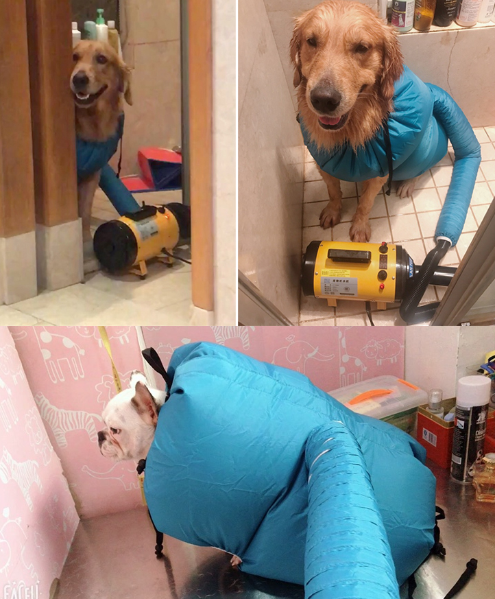 Pet drying box and dryer with drying bag, designed for quick and gentle drying of small pets.
