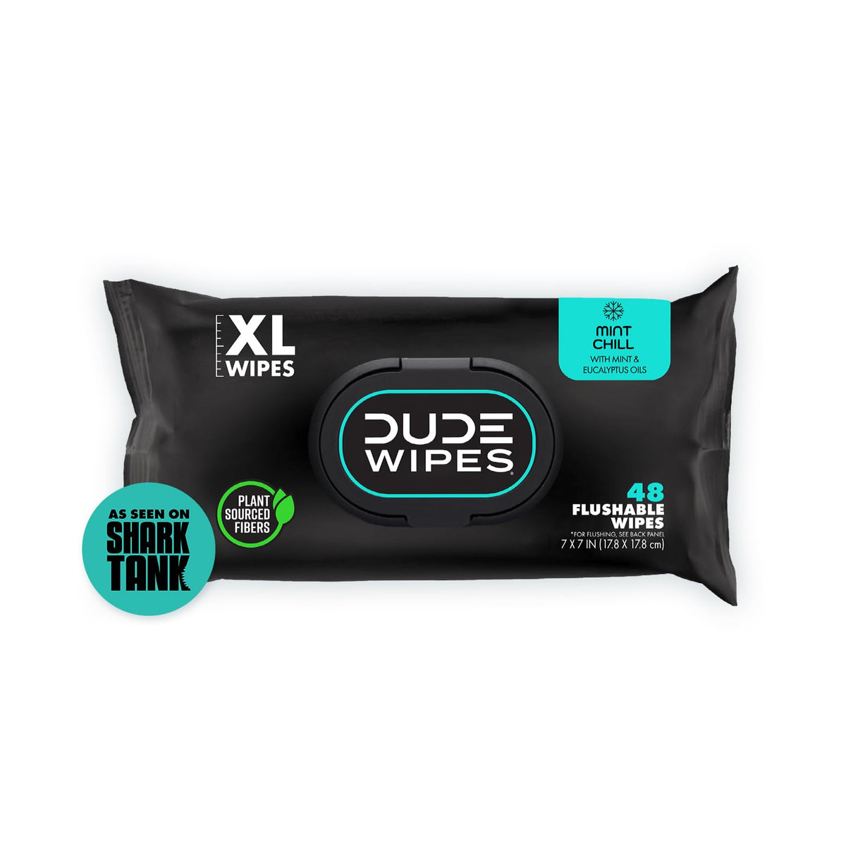 BackupMyFilesNow® DUDE Wipes flushable adult wet wipes, 2-pack, unscented, extra-large, suitable for sensitive skin.
