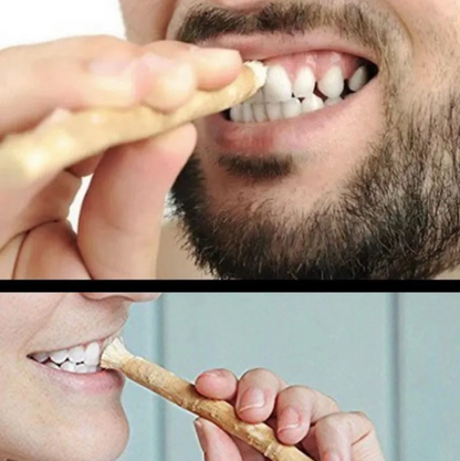 Natural Miswak tooth cleaning stick from BackupMyFilesNow.com, showing a traditional wooden toothbrush for oral hygiene.