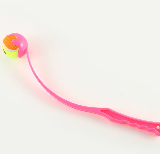 Pink outdoor dog training toy with throwing cue from BACKUPMYFILESNOW.COM®, designed for interactive pet play and training.