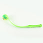Pink outdoor dog training toy with throwing cue from BACKUPMYFILESNOW.COM®, designed for active pet training and play.