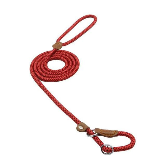 Red nylon pup set from BackupMyFilesNow.com featuring adjustable straps and secure fit, designed for reliable file backup.