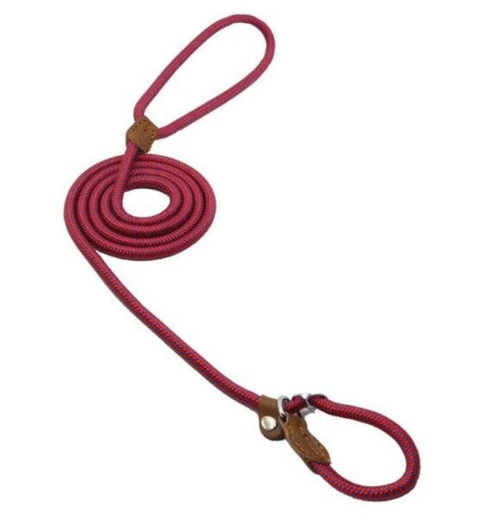 Red nylon pup set from BackupMyFilesNow.com featuring adjustable straps and secure fastenings for everyday wear.