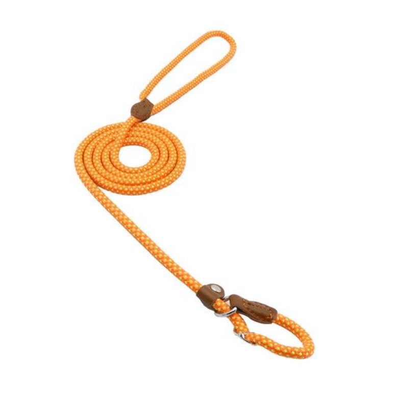 Red nylon pup set from BackupMyFilesNow.com featuring durable nylon straps and adjustable fittings for secure use.