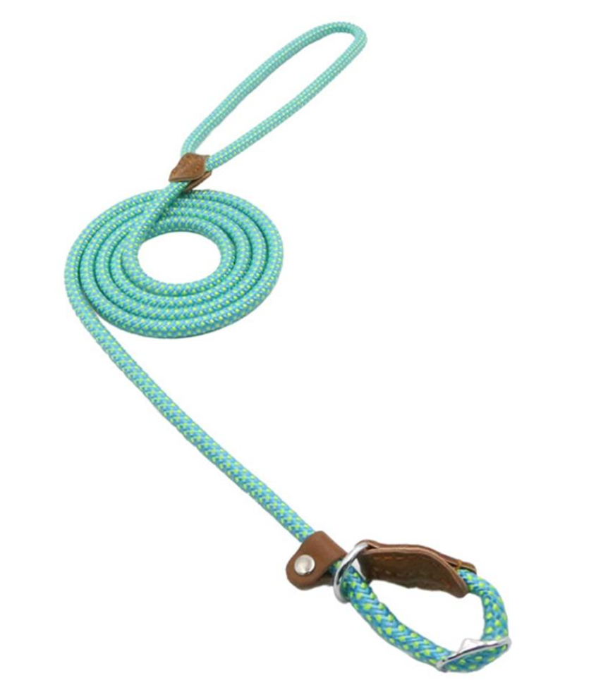 Red nylon pup set from BackupMyFilesNow.com featuring durable, adjustable nylon straps and secure clip closures.