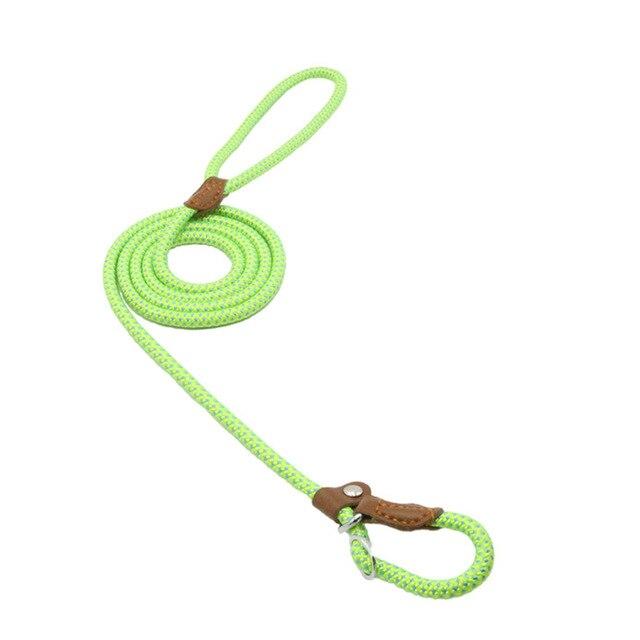 Red nylon pup set from BackupMyFilesNow.com with adjustable straps and secure fastenings, designed for reliable file storage.