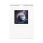 2025 wall calendar from BACKUPMYFILESNOW.COM® featuring spacious monthly grids and clean, minimal design on a white background.