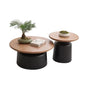 Modern Nordic coffee table with sleek elegant design, premium aesthetic, and storage, ideal for living room decor.