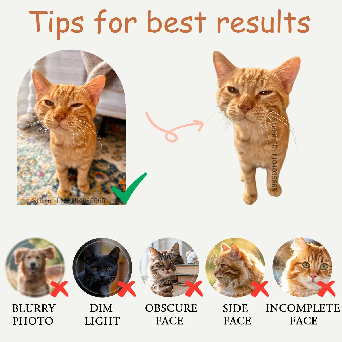 IHX Ugly Cat Dog Zany Pillow by BackupMyFilesNow.com, custom 3D pet pillow with white edge, personalized pet photo, memorial gift.