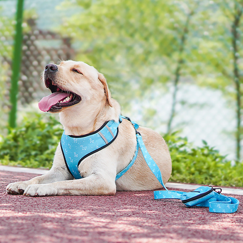 Pet dog leash harness with bow by My Store, featuring an adjustable design for comfortable walks