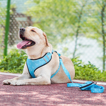 Pet dog leash harness with bow by My Store, featuring an adjustable design for comfortable walks
