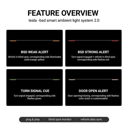 RGB ambient lighting for Tesla Model 3/Y dashboard with BSD blind spot monitor, integrated control, and customizable lighting effects.