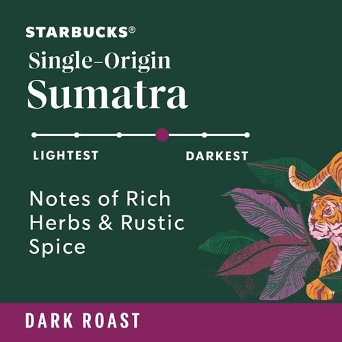Starbucks K-Cup dark roast coffee pods by ByBies, Sumatra flavor, 100% Arabica, 10 single-serve coffee pods in box