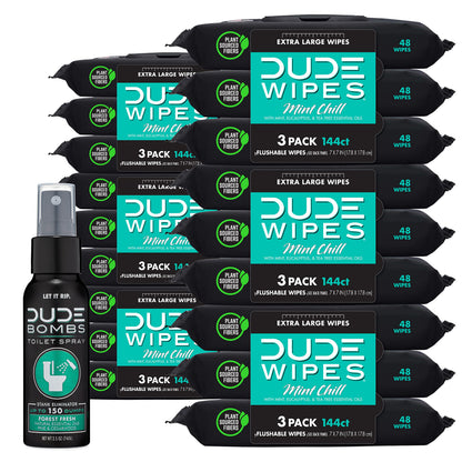 BackupMyFilesNow DUDE Wipes flushable adult wet wipes with eucalyptus and tea tree oil, mint chill scent, 18-pack with toilet spray
