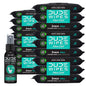 BackupMyFilesNow DUDE Wipes flushable adult wet wipes with eucalyptus and tea tree oil, mint chill scent, 18-pack with toilet spray