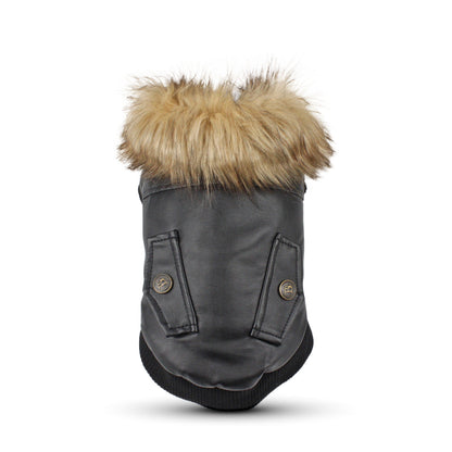 Dog autumn and winter leather coat with fur collar, full-body view