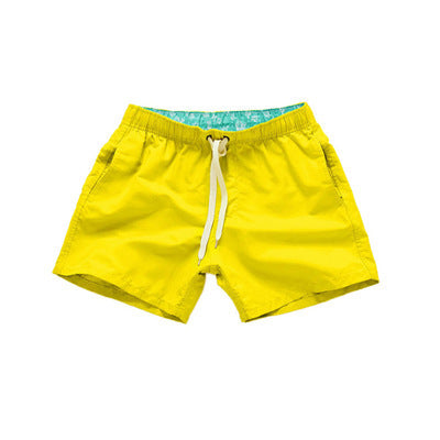 Men's summer beach pants shorts for surfing and casual wear, lightweight design with relaxed fit