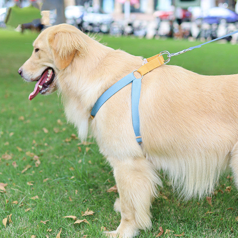 Color Pet drawstring leash vest-style dog leash in a colorful design for pets