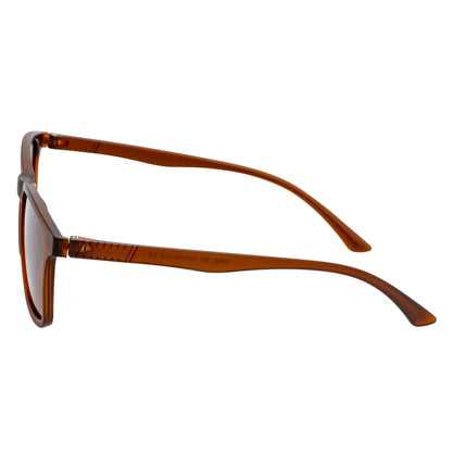 Morspecs commuter polarized horn-rimmed sunglasses with matte brown frames and amber lenses, designed for stylish sun protection.