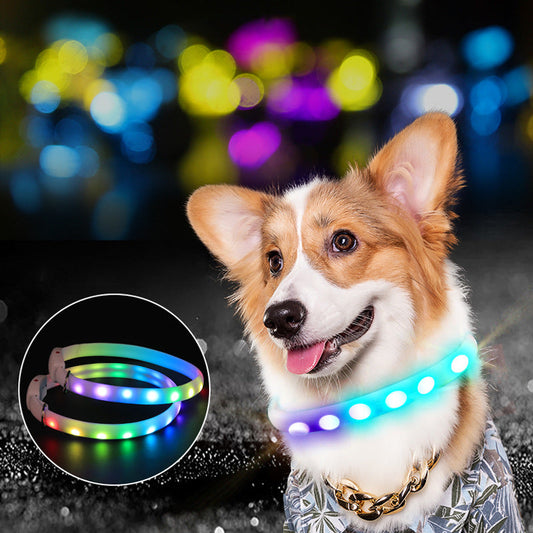 USB rechargeable LED glowing dog collar for nighttime walks, luminous flashing pet safety collar