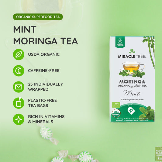 Organic Moringa Tea with mint by Miracle Tree, herbal caffeine-free tea in a clear glass cup with fresh mint leaves.