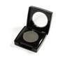 Danyel Cosmetics Eye Shadows palette with slate and neutral shades, featuring Danyel EyesLight Shadow in a sleek compact.