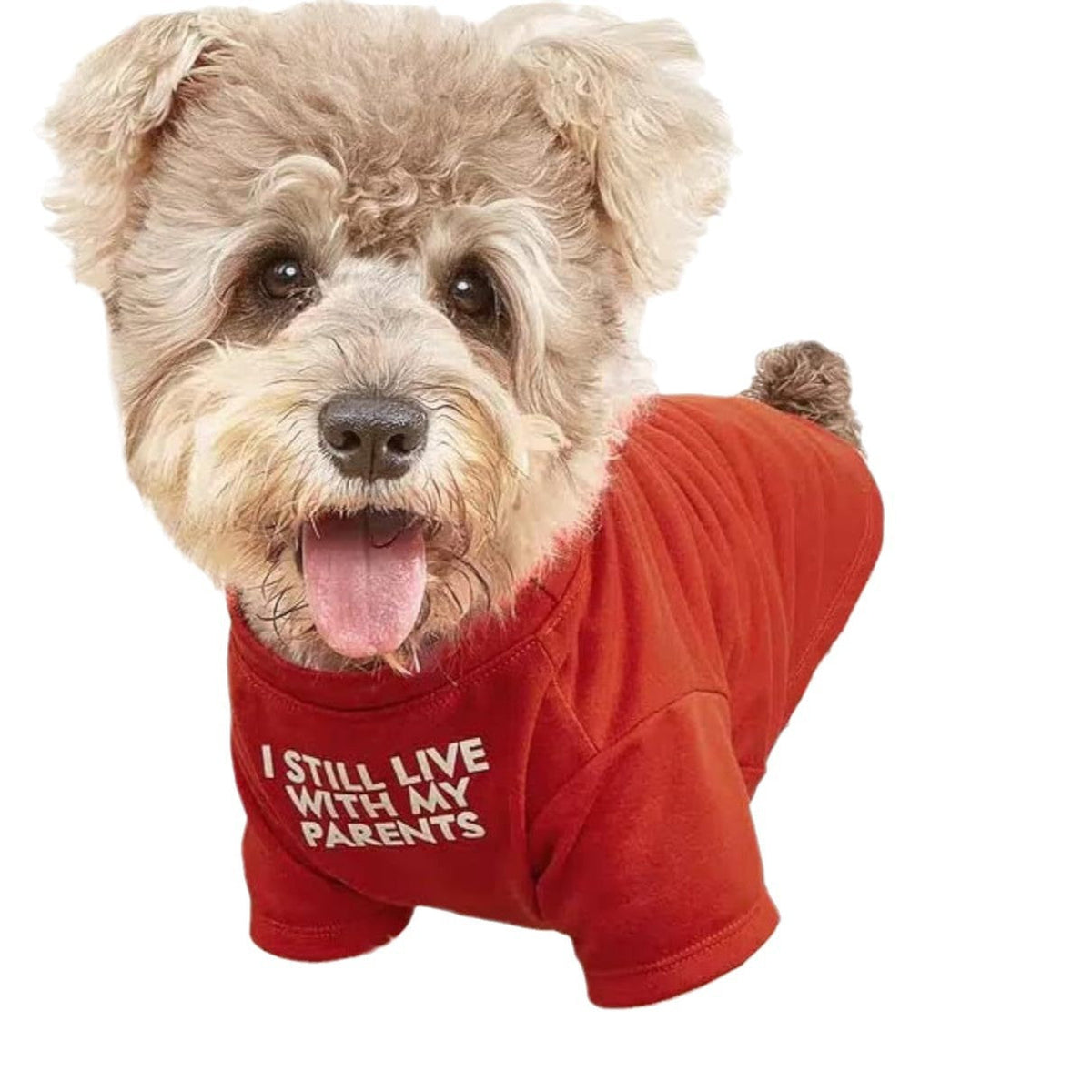 Pet clothes round neck T-shirt for dogs and cats, soft casual design