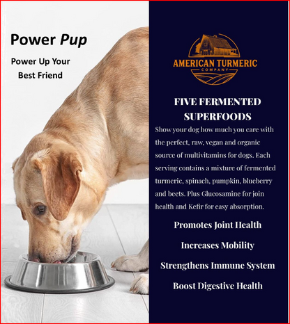 Dog dish with Power Pup fermented turmeric powder for dogs, a lead-free superfood meal topper by America's Best Turmeric.