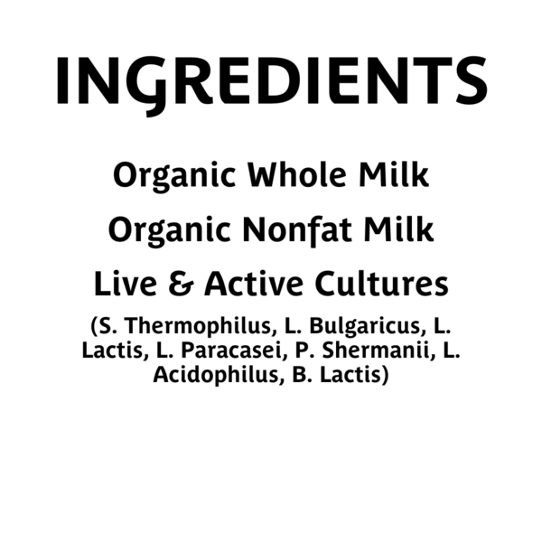 Creamy Kalona SuperNatural Organic Whole Milk Plain Yogurt in a white bowl, showcasing smooth texture and natural appearance.
