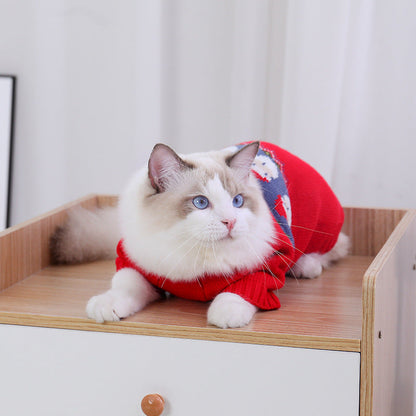 Puppy dog and cat Christmas sweater, festive pet clothing with seasonal design