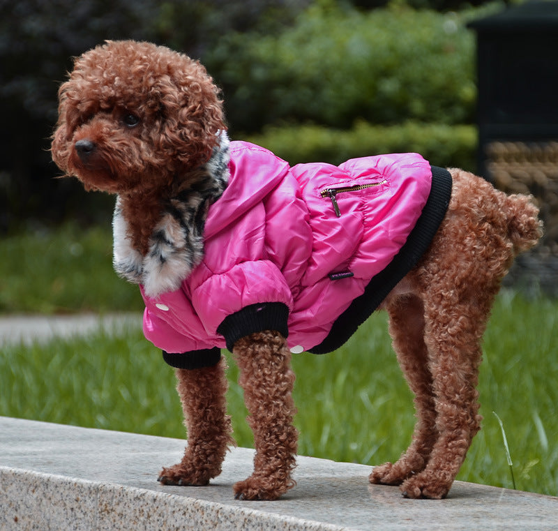 Zippered cotton padded pet clothes in a comfortable, protective design