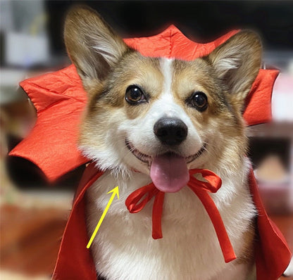 Halloween pet costume, vampire king cape for pets in black and red with royal collar details