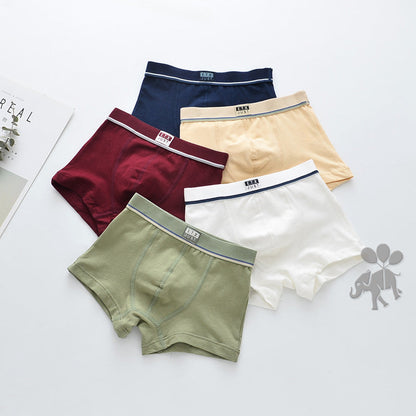 Five-pack children's breathable cotton underwear in assorted colors and patterns