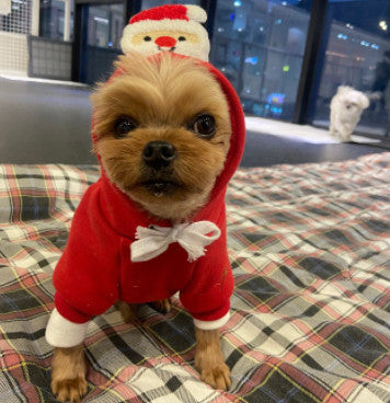 Pet sports fashion Christmas Day clothing in festive red and green design