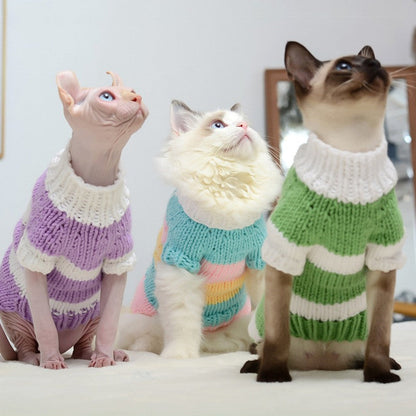 Hairless cat wearing a warm sweater pet clothing outfit