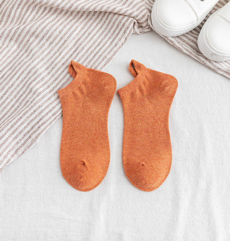 Women's Socks Collection