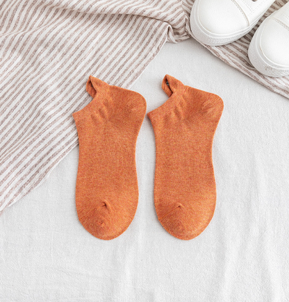Women's Socks Collection