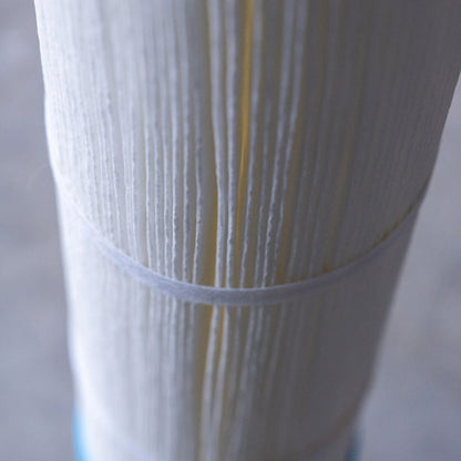 Close-up of Echo Water EchoPure2 whole home water filter showing its sleek design and filtration unit.