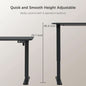 Electric Height Adjustable Standing Desk 55 X 24 Inches