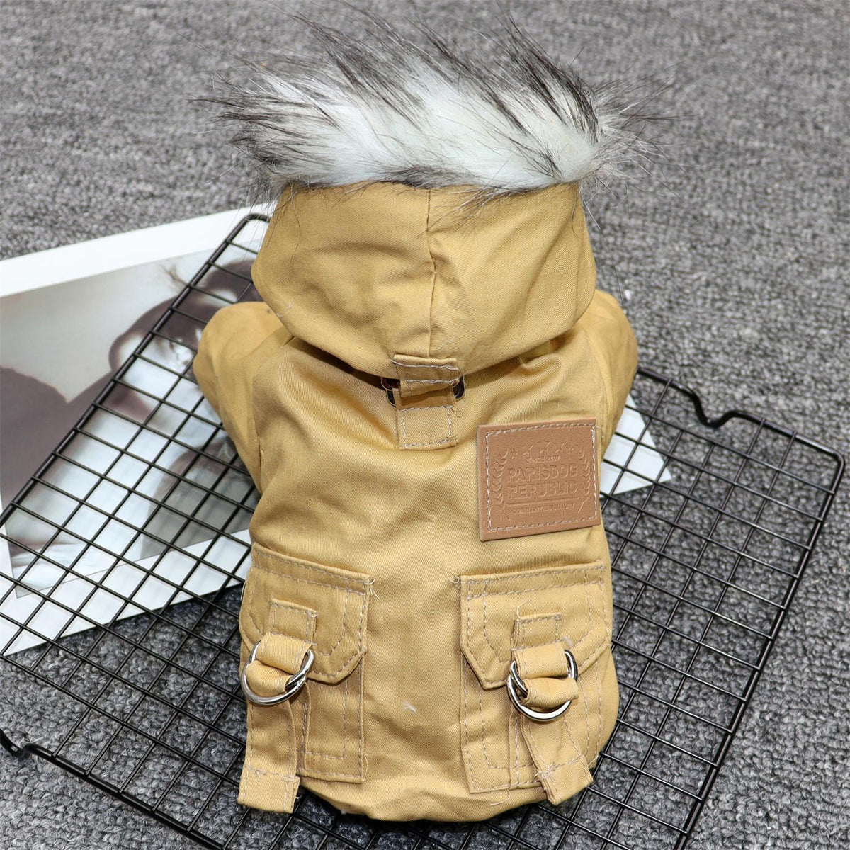 Padded coat for small dogs, showing a warm dog clothing design by My Store