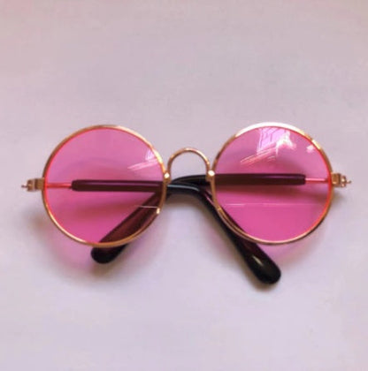 Pet cat glasses and sunglasses with playful frame design for cats