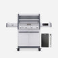 Eminence 405 | Chic Clearview Smart Stainless Gas Grill