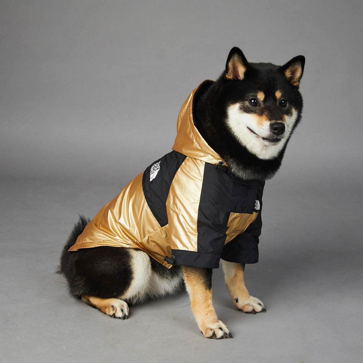 Windproof and rainproof large dog raincoat shell jacket in waterproof fabric