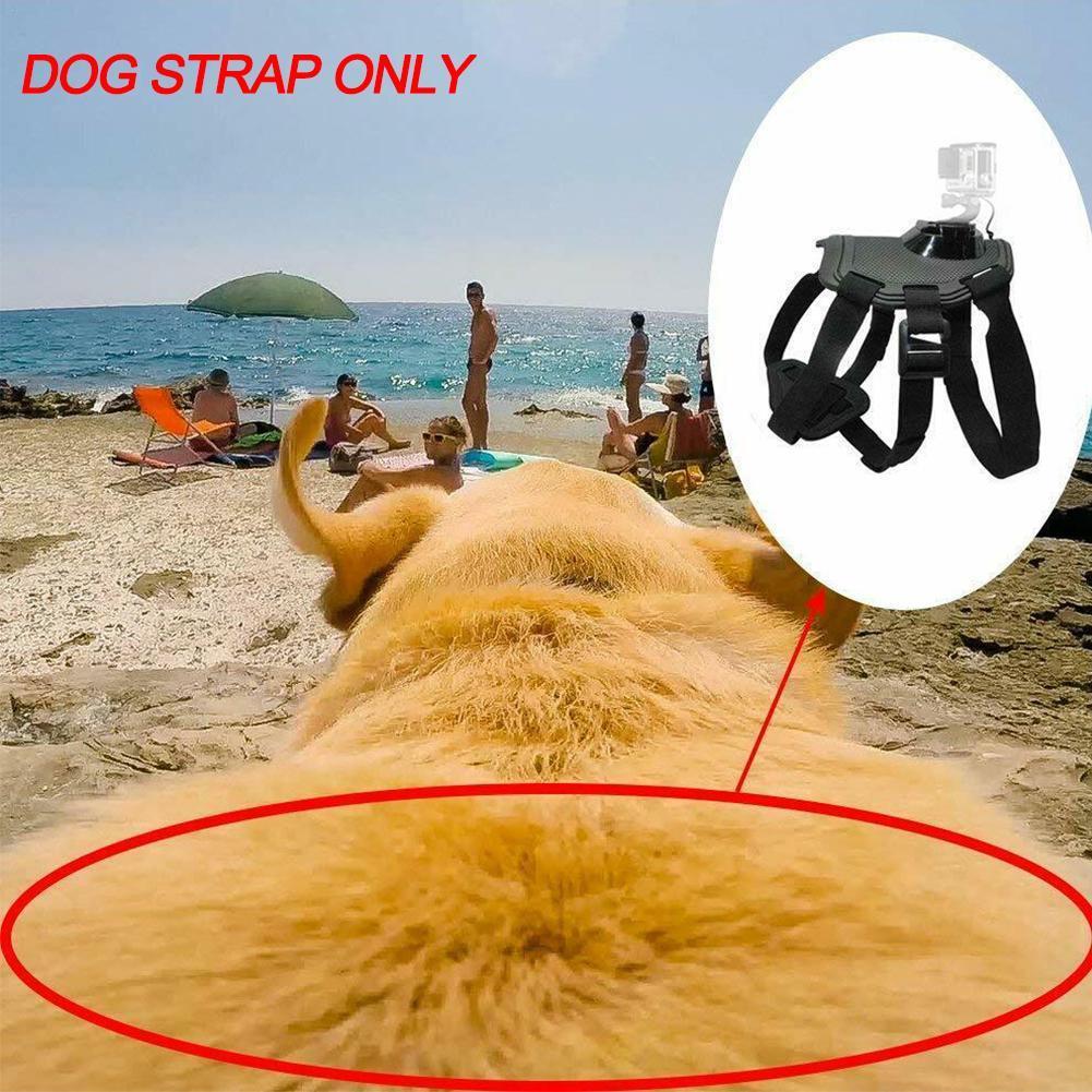Dog harness chest strap camera accessory for dual-use back and chest mounting