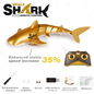 AquaSurge RC Shark