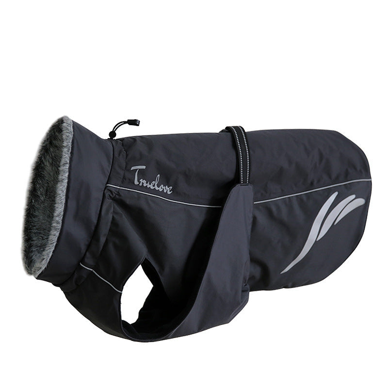 Dog wearing a warm, fashionable pellet down jacket for winter by My Store