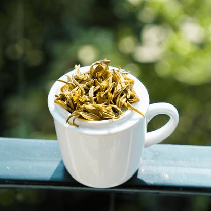 Fresh wet green tea leaves from Nepal Tea's Organic Farmers' Green tea, showcasing vibrant, freshly harvested tea leaves.